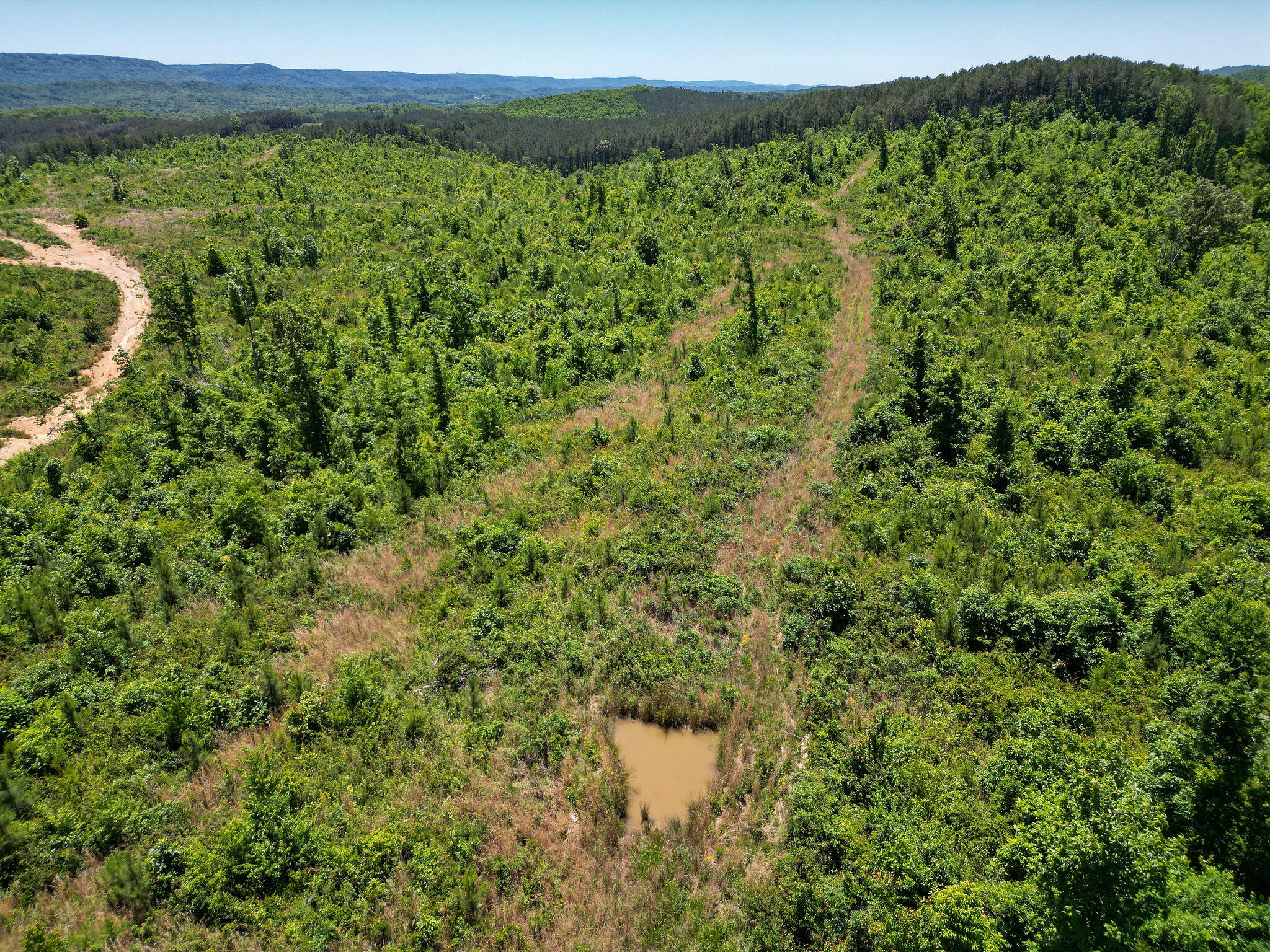 74-acs Bethel Road Valley Head, AL 35989 - Photo 11 of 12 DJI_0224