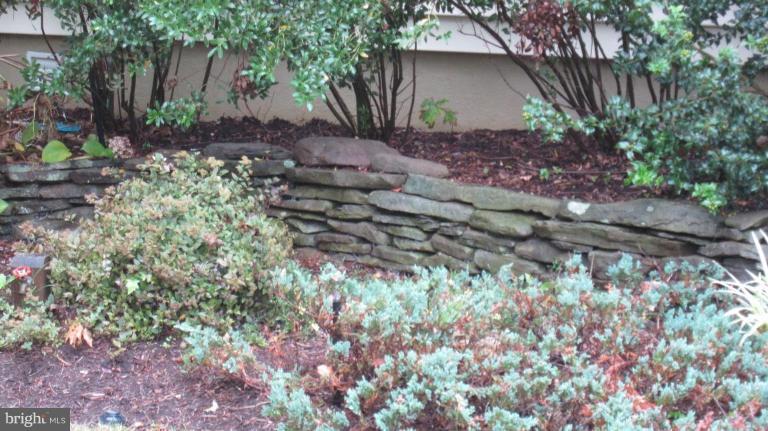 8230 Frye Road Alexandria, VA 22309 - Photo 23 of 30 Garden