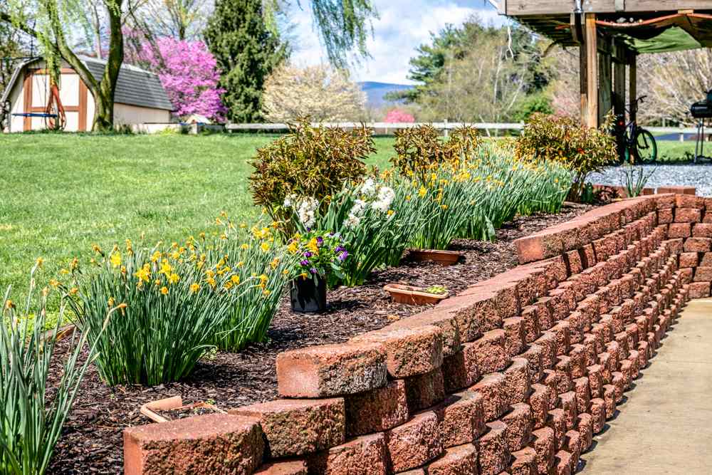 152 Millers Road Bridgewater, VA 22812 - Photo 46 of 50 a view of an outdoor space