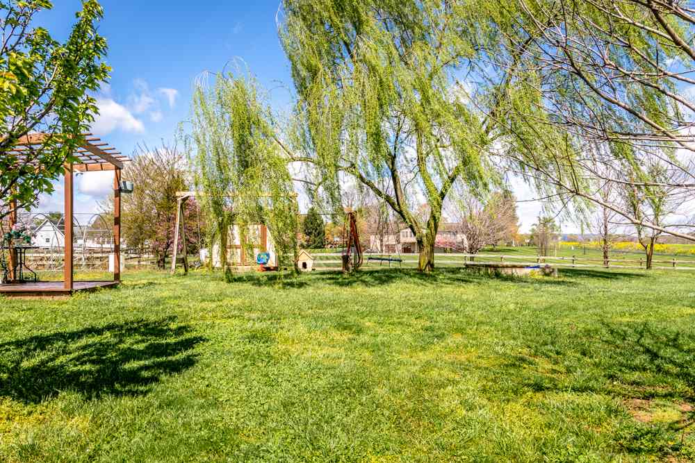 152 Millers Road Bridgewater, VA 22812 - Photo 48 of 50 a view of grassy field with trees