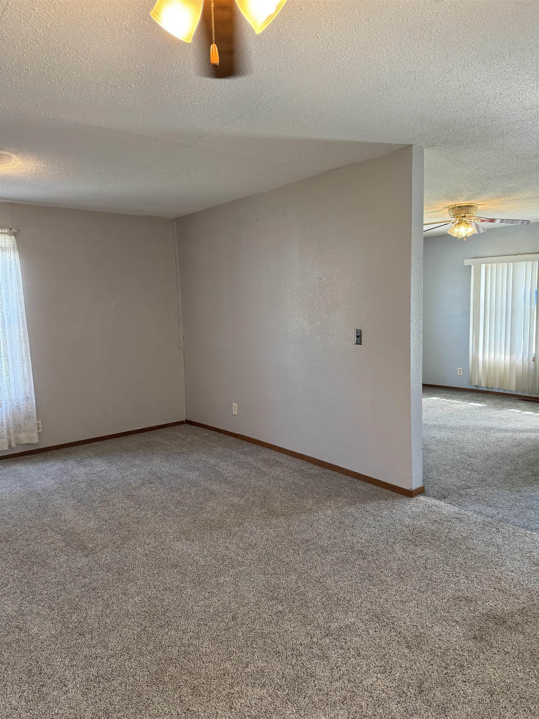 313 East 1st Avenue Delavan, WI 53115 - Photo 7 of 18