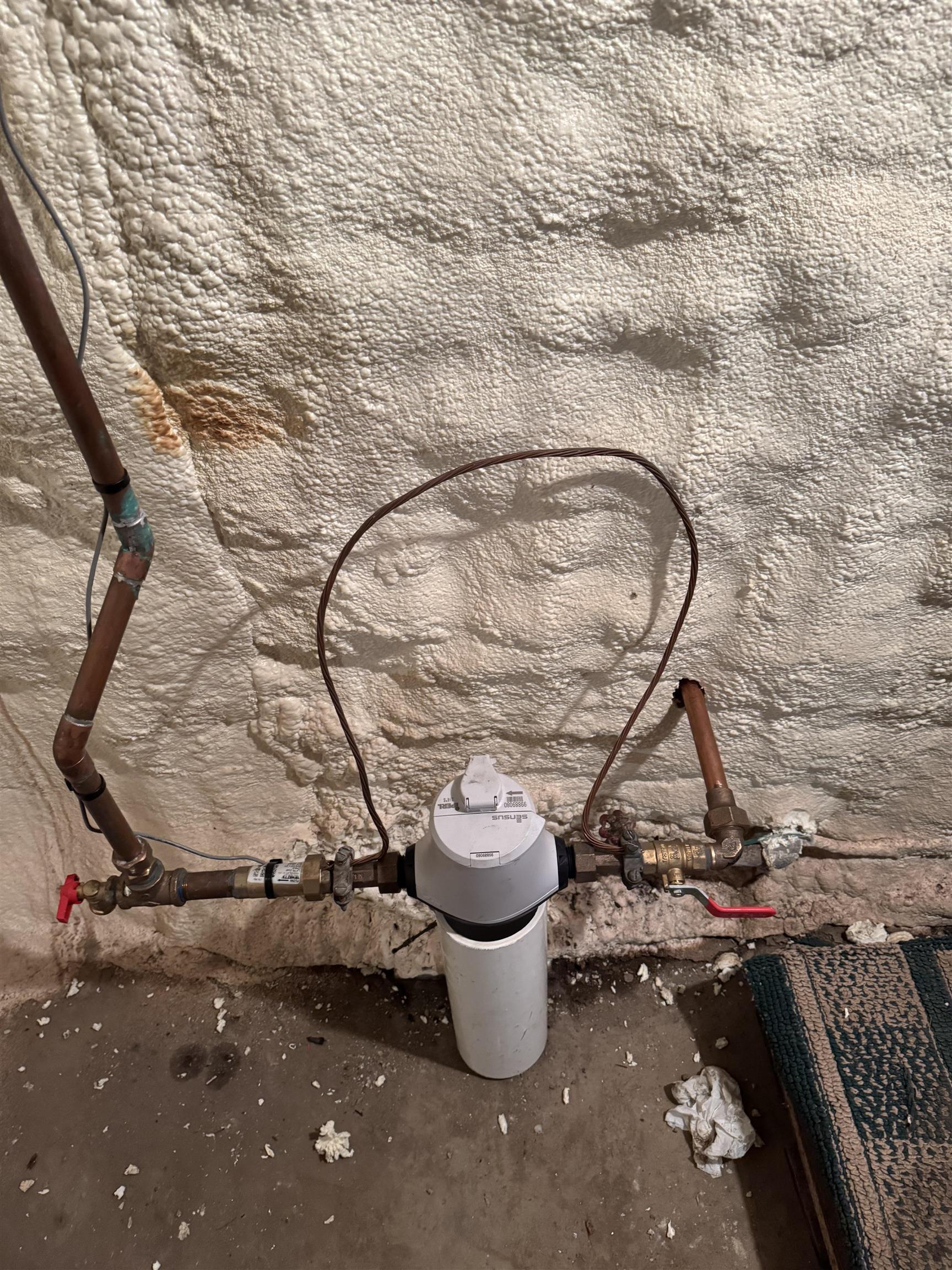 313 East 1st Avenue Delavan, IA 53115 - Photo 9 of 18