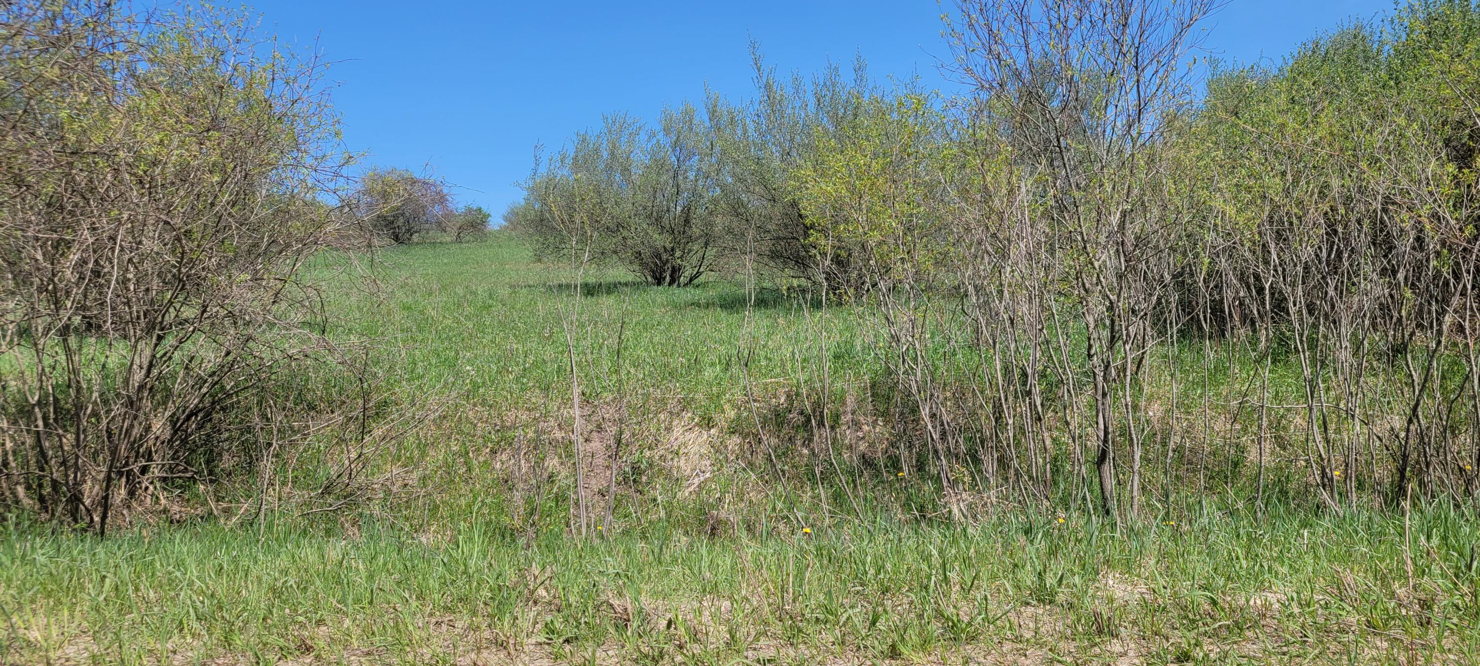 1894 Monroe Road Hart, MI 49420 - Photo 16 of 20 20230511_123550