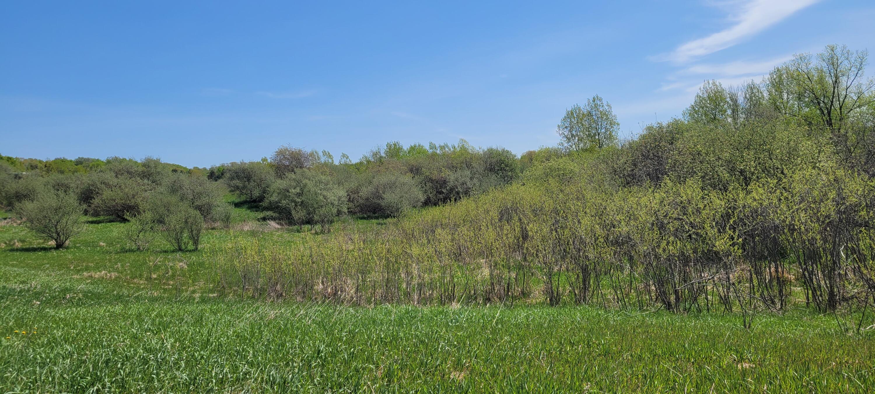1894 Monroe Road Hart, MI 49420 - Photo 2 of 20 20230511_121959