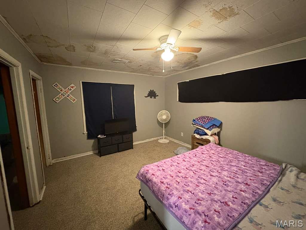 10346 County Road 610 Arbyrd, MO 63821 - Photo 19 of 29