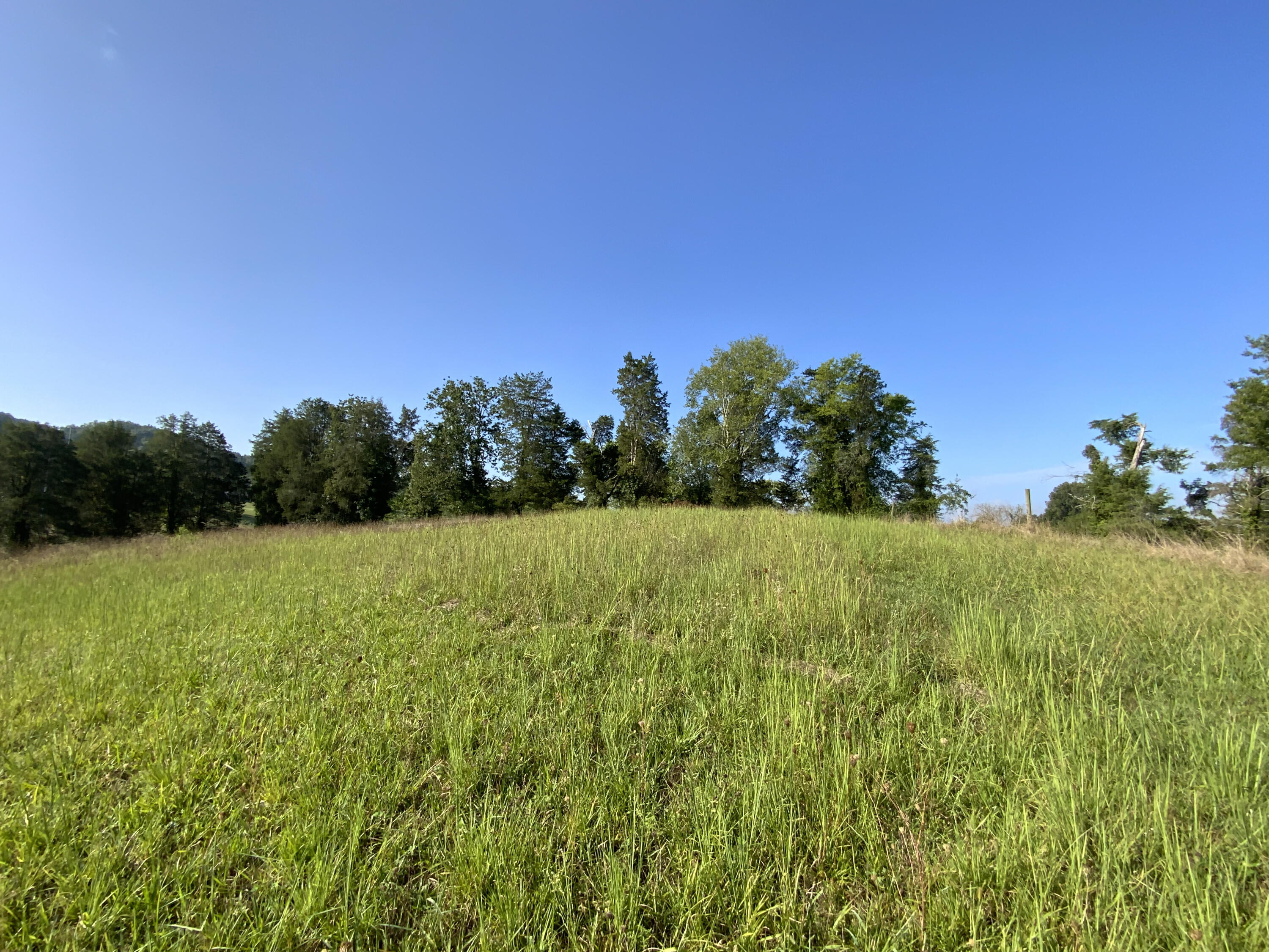 446 Mountain Road Clinton, TN 37716 - Photo 21 of 34 50FA67E1-9210-4A42-93DC-35FAD04DFD8F