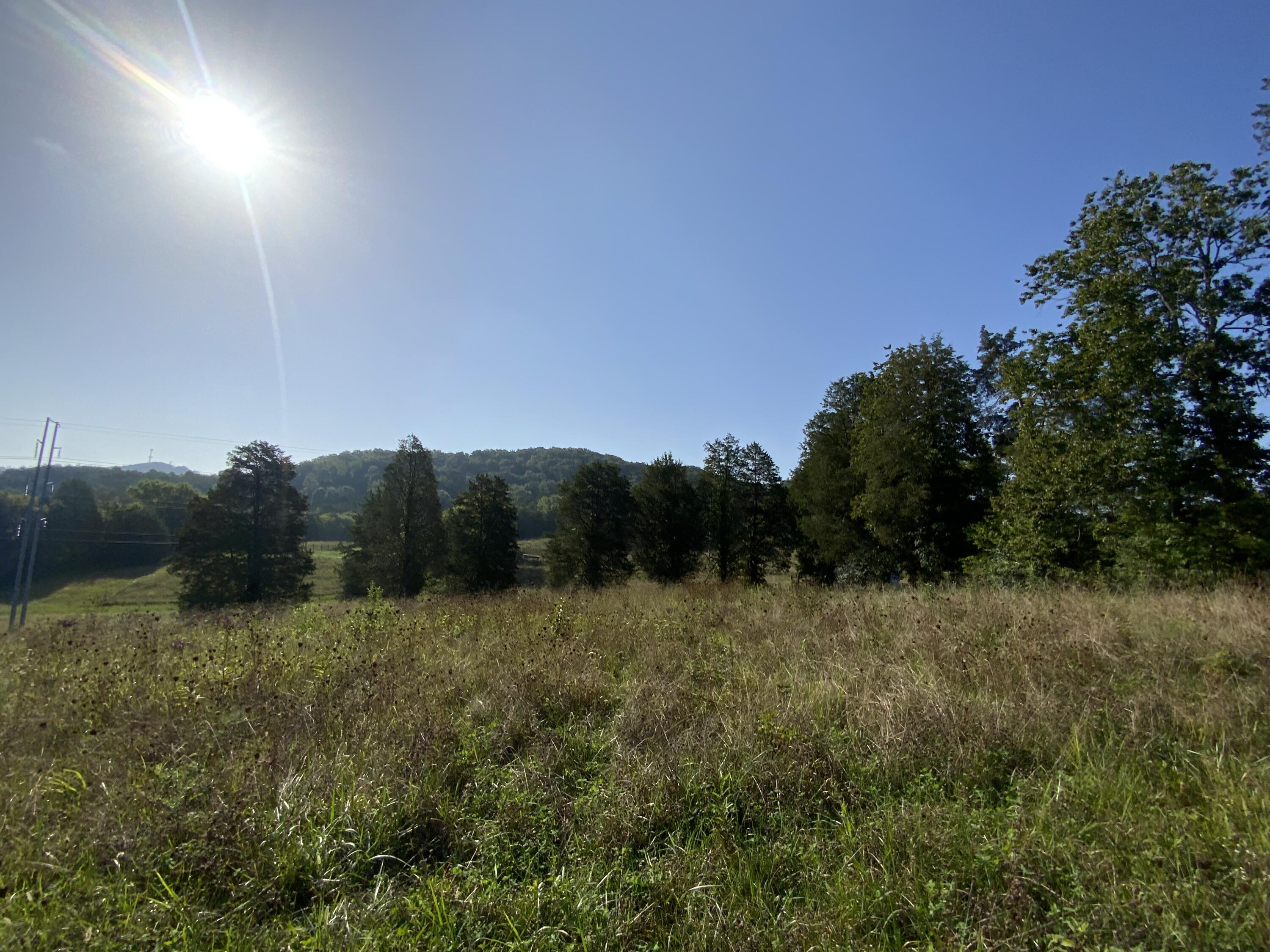 446 Mountain Road Clinton, TN 37716 - Photo 7 of 34 50EFE7BB-8C6F-445B-8FB4-FC3537643D00