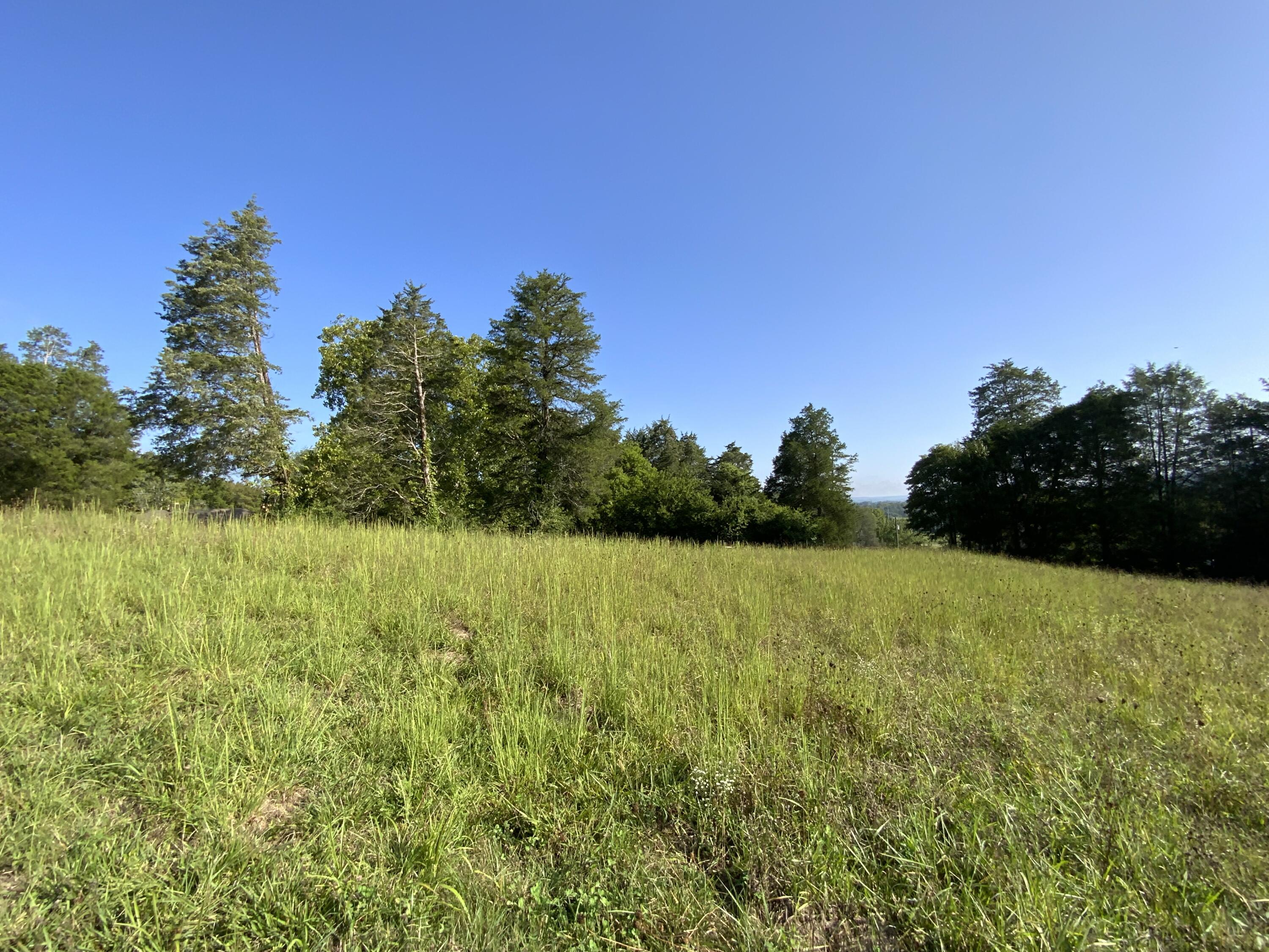 446 Mountain Road Clinton, TN 37716 - Photo 9 of 34 5CCCE6C9-F10B-4CD6-BBFD-B4C06F7811AA