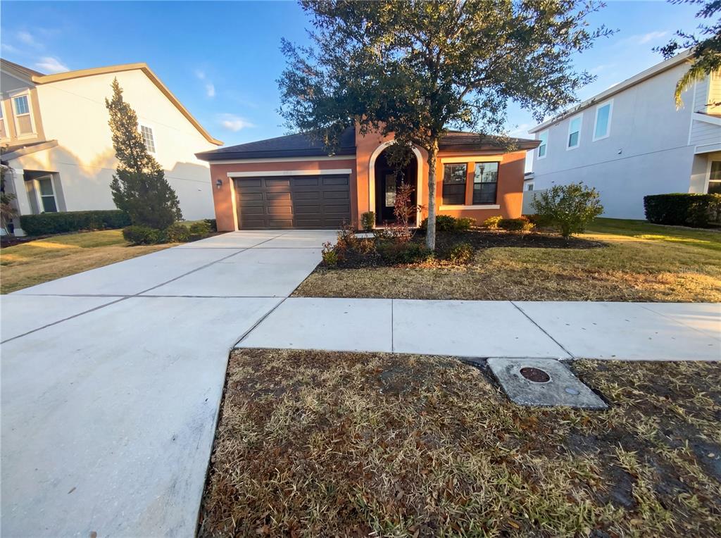 32395 Natural Bridge Road Wesley Chapel, FL 33543 - Photo 23 of 23