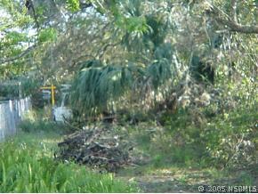 0 Jones Fish Edgewater, FL 32141 - Photo 1 of 2 Gallery Image 1