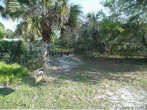 0 Jones Fish Edgewater, FL 32141 - Photo 2 of 2 Gallery Image 2