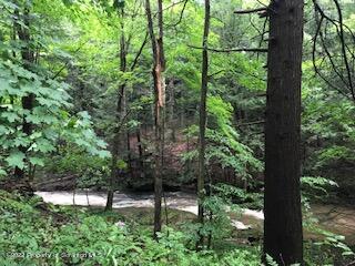 Lithia Valley Road Factoryville, PA 18419 - Photo 4 of 4 a view of a garden