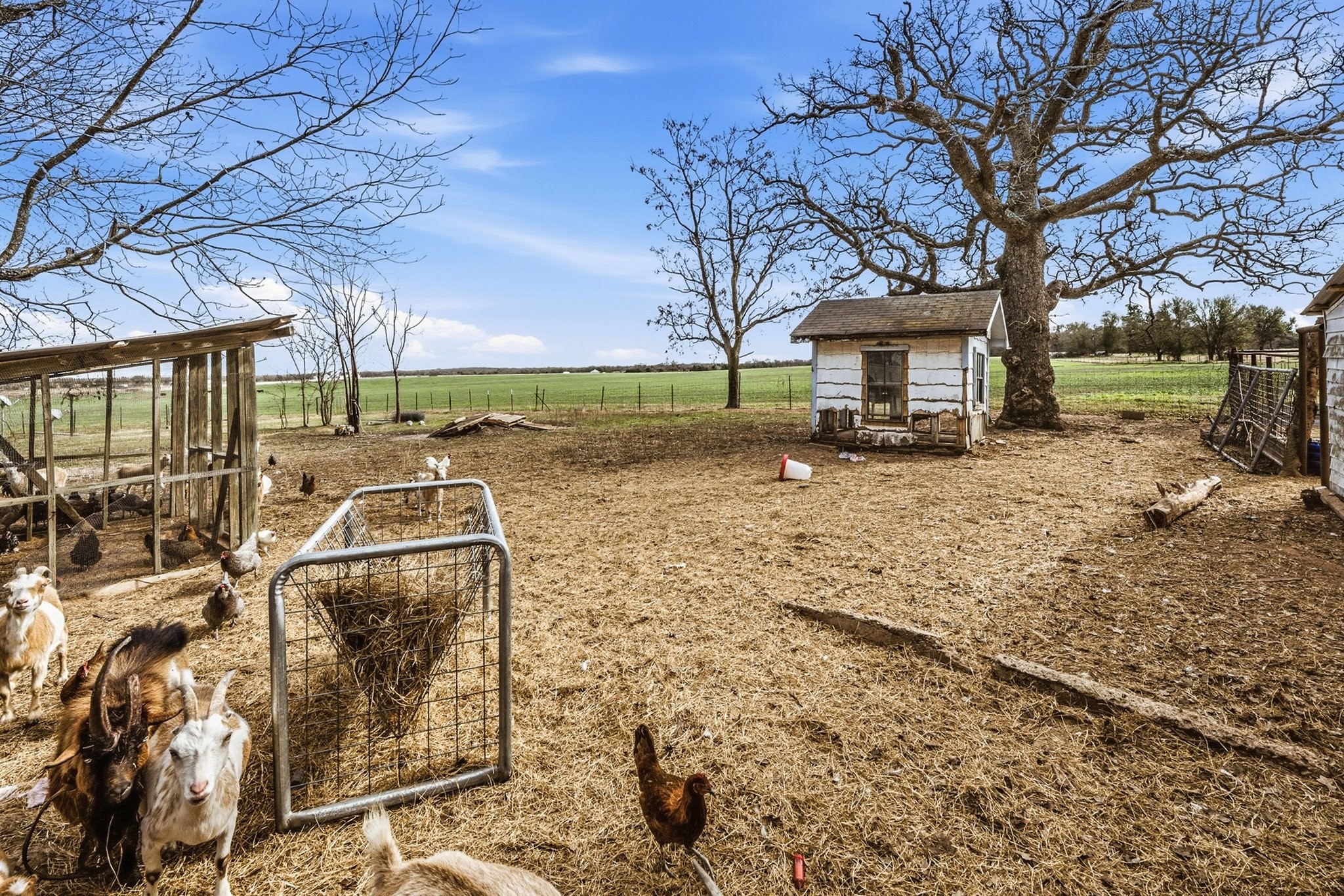 9523 West Fm 1644 Calvert, TX 77837 - Photo 22 of 22 a view of a backyard with table and chairs under a large tree