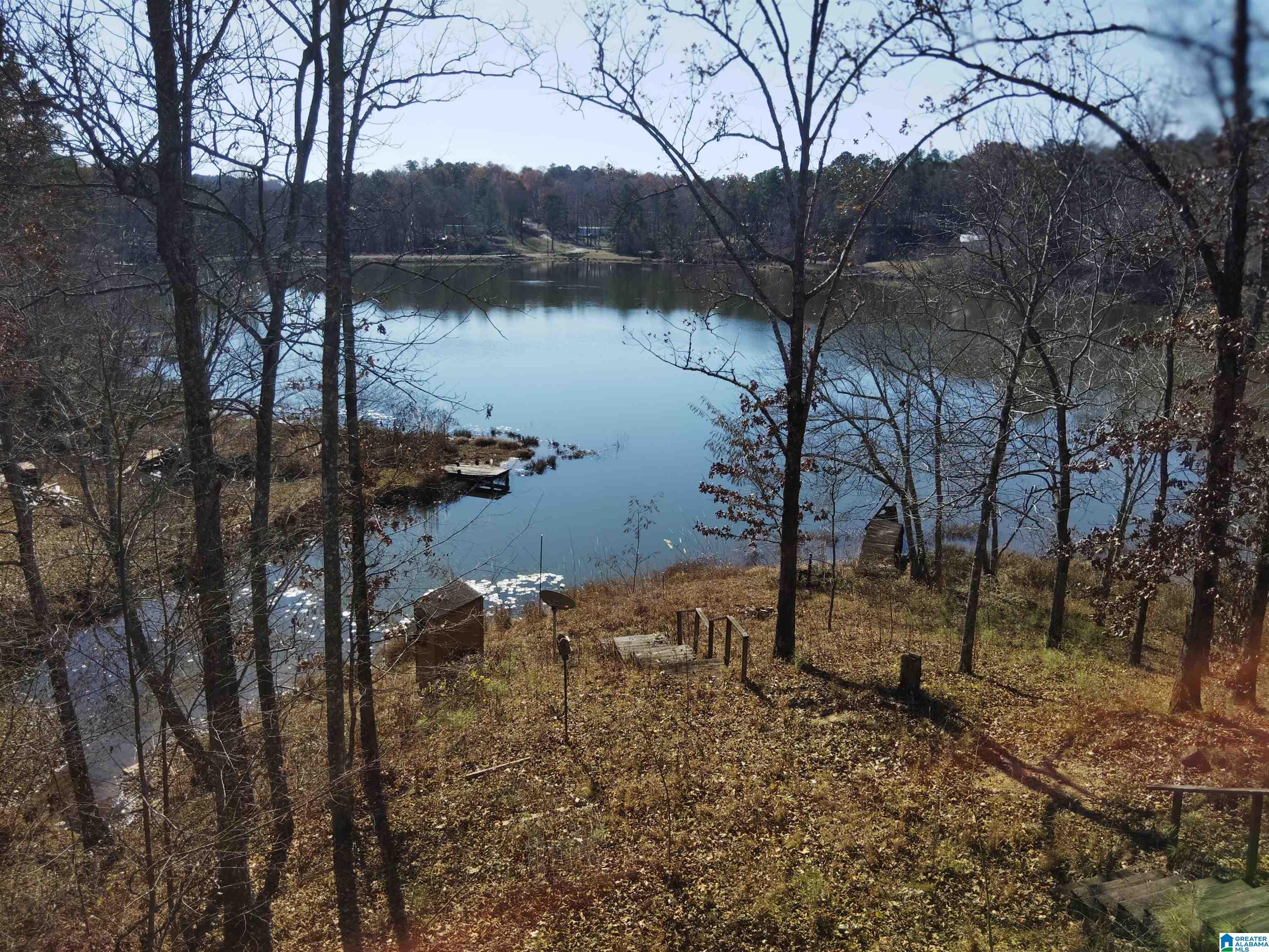 201 Lakeview Drive Oneonta, AL 35121 - Photo 5 of 18