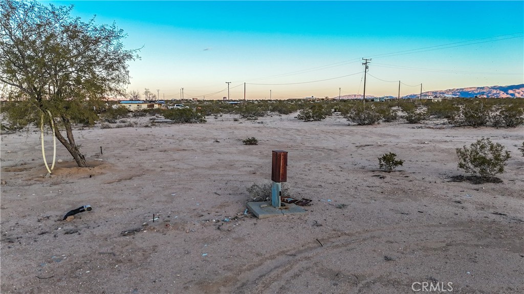 65370 Brant Crossing Road Joshua Tree, CA 92252 - Photo 39 of 40 a view of a beach with a tree