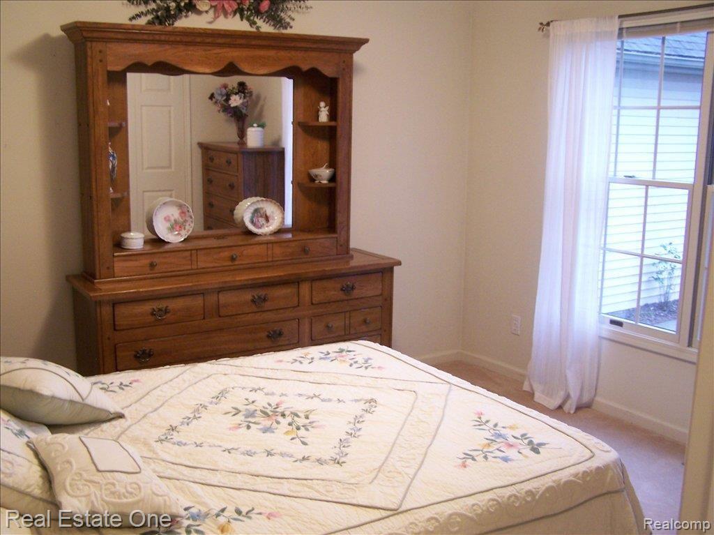 11055 Tree Line Drive Pinckney, MI 48169 - Photo 17 of 25 bedroom 2 pic 1