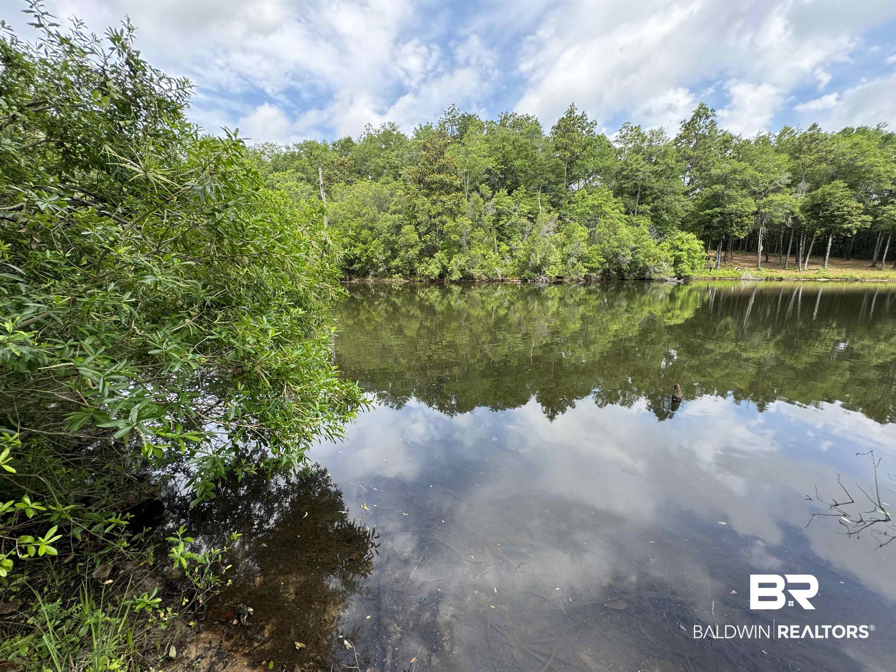 0 US Highway 98 Semmes, AL 36575 - Photo 2 of 24