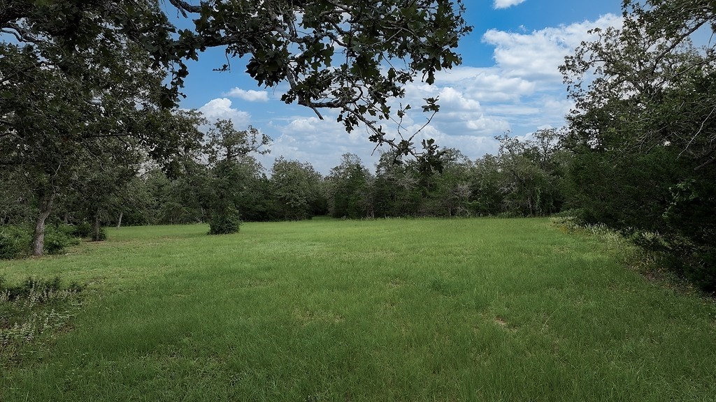 2625 Burke Road Flatonia, TX 78941 - Photo 16 of 19