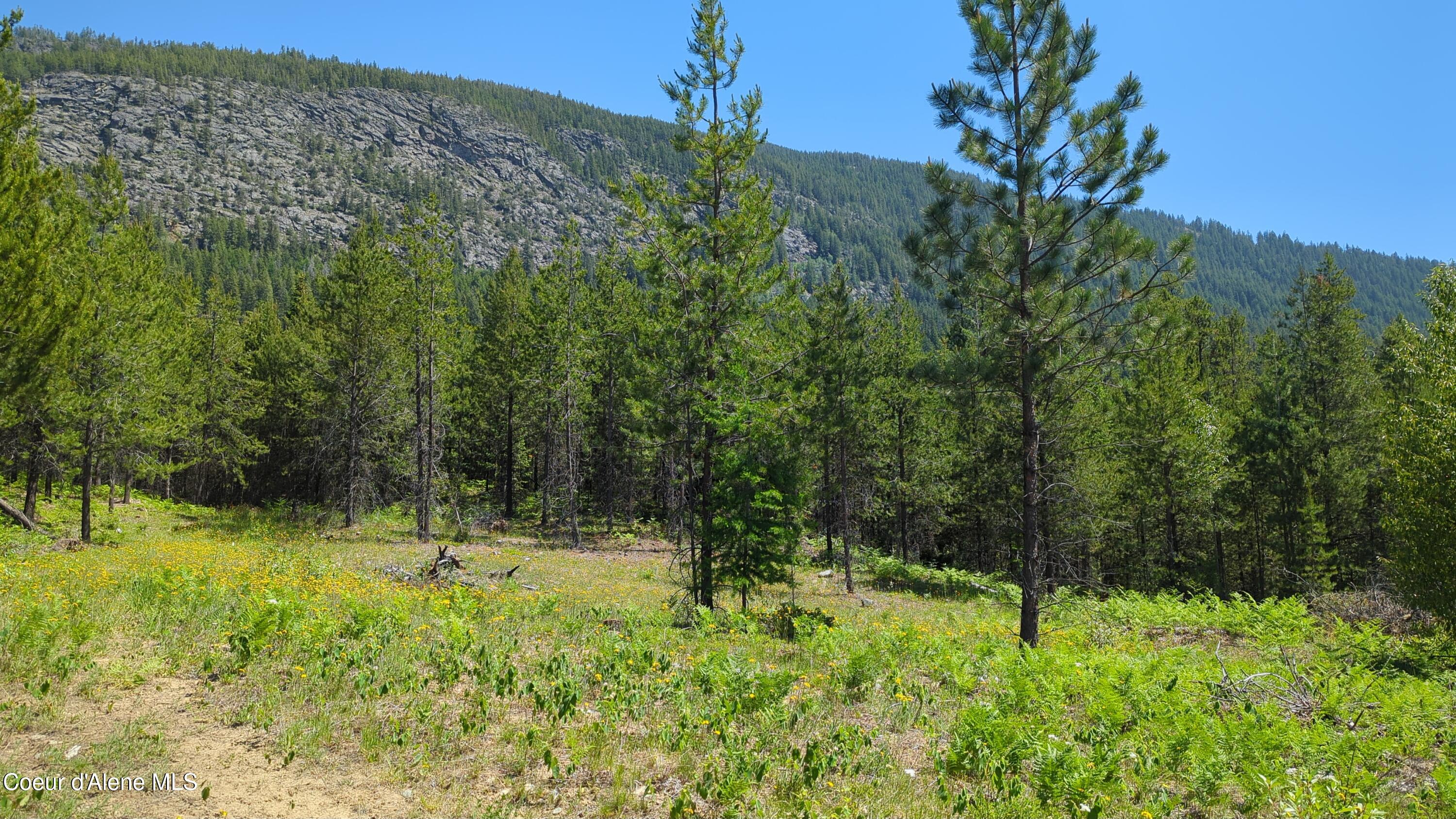 Nna Nna Log Cabin Road Bonners Ferry, ID 83805 - Photo 1 of 1 IMG_20250610_132145_682
