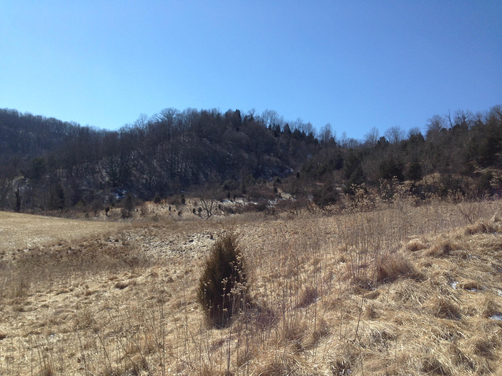 Dillon Road Forest Hill, WV 24935 - Photo 81 of 93 Gallery Image 81