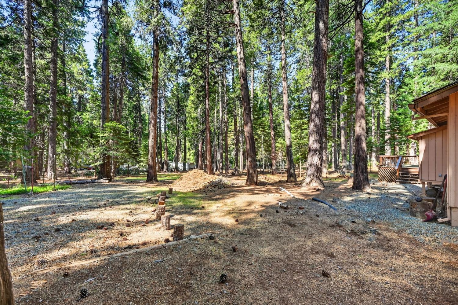 20191 Kit Court Volcano, CA 95689 - Photo 52 of 54 a view of a yard with a tree