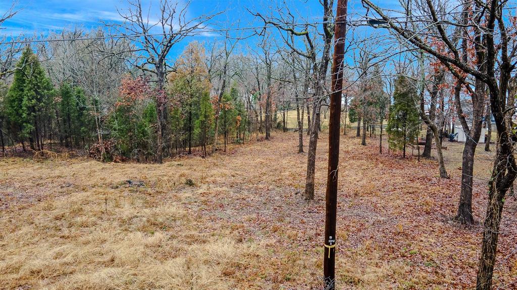 Tbd Clear Point Road Malakoff, TX 75148 - Photo 9 of 13 Gallery Image 9