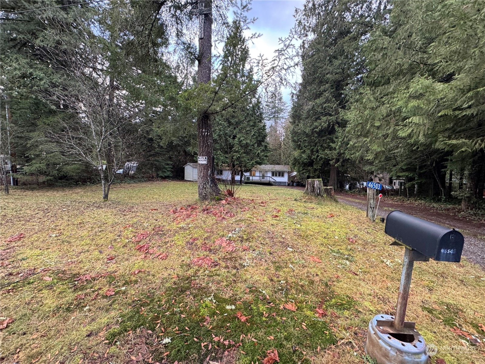 46503 Baker Loop Road Concrete, WA 98237 - Photo 2 of 18 Gallery Image 2