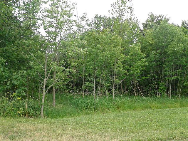 0 Middletown Road Galion, OH 44833 - Photo 1 of 1