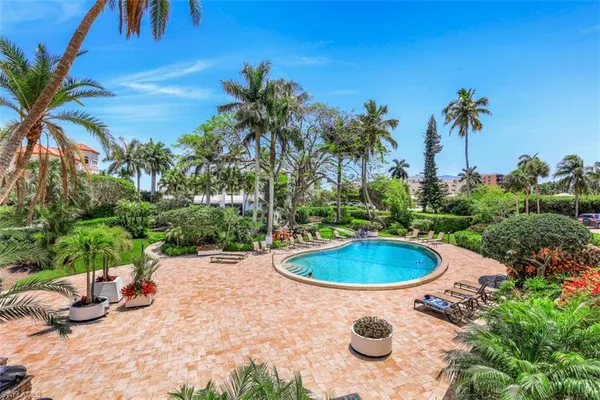 a view of a swimming pool with outdoor seating and plants