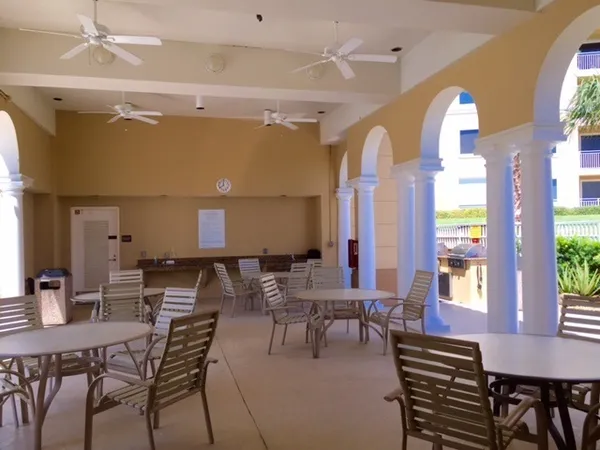 a view of a big yard with a large trees