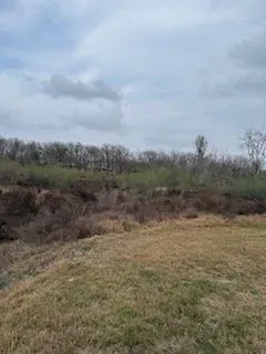 a view of a field with trees in background