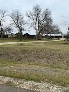 a view of large trees