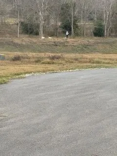a view of a backyard of the house