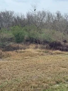 a view of a yard with trees in the background