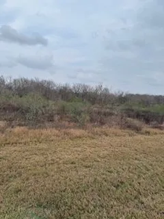 a view of a field with trees in background