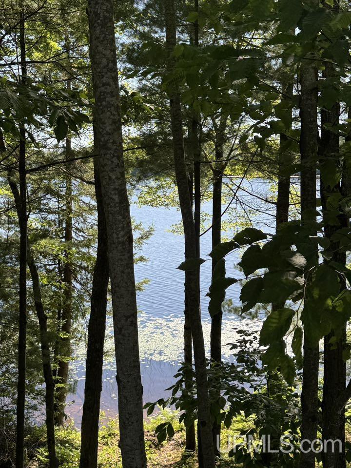 8713 Boot Lake Road Manistique, MI 49854 - Photo 11 of 12 Gallery Image 11