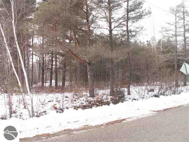 0 Riverside Drive, Unit LOT: 5 Honor, MI 49640 - Photo 5 of 6 Gallery Image 5