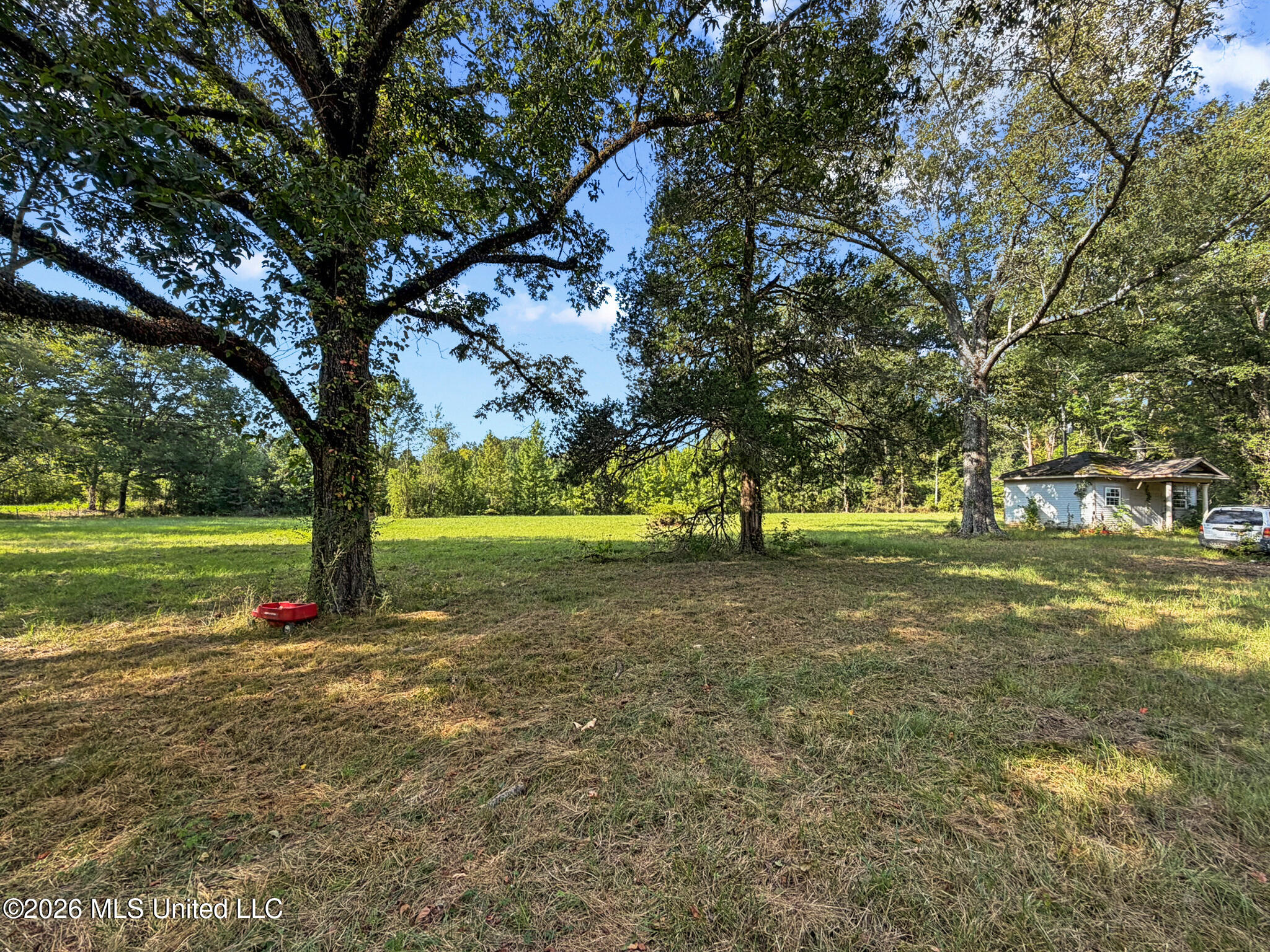 1194 Tom Kyzar Road Morton, MS 39117 - Photo 16 of 31 IMG_4353