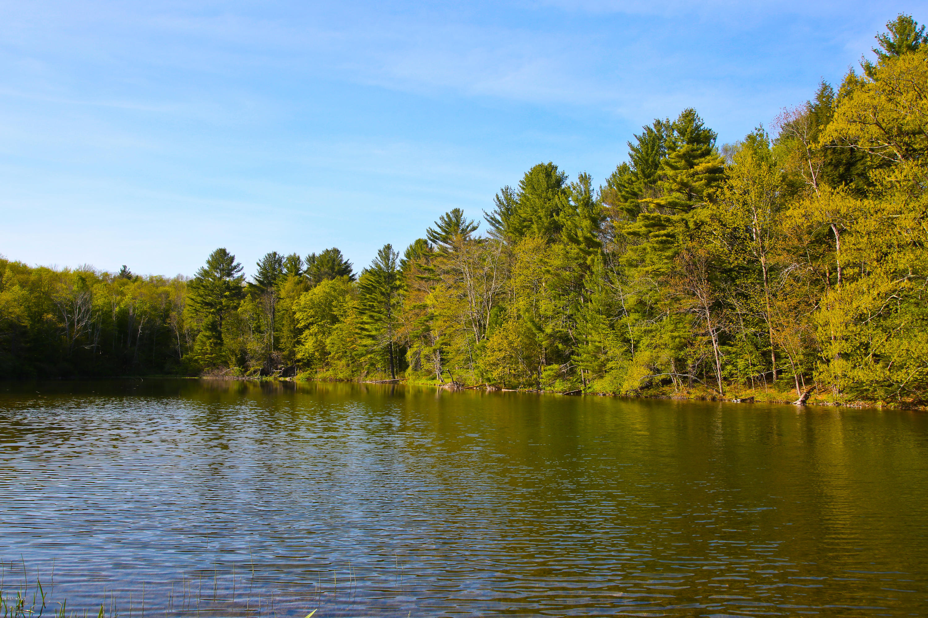 238 Rossiter Road Richmond, MA 01254 - Photo 36 of 41 a view of lake view
