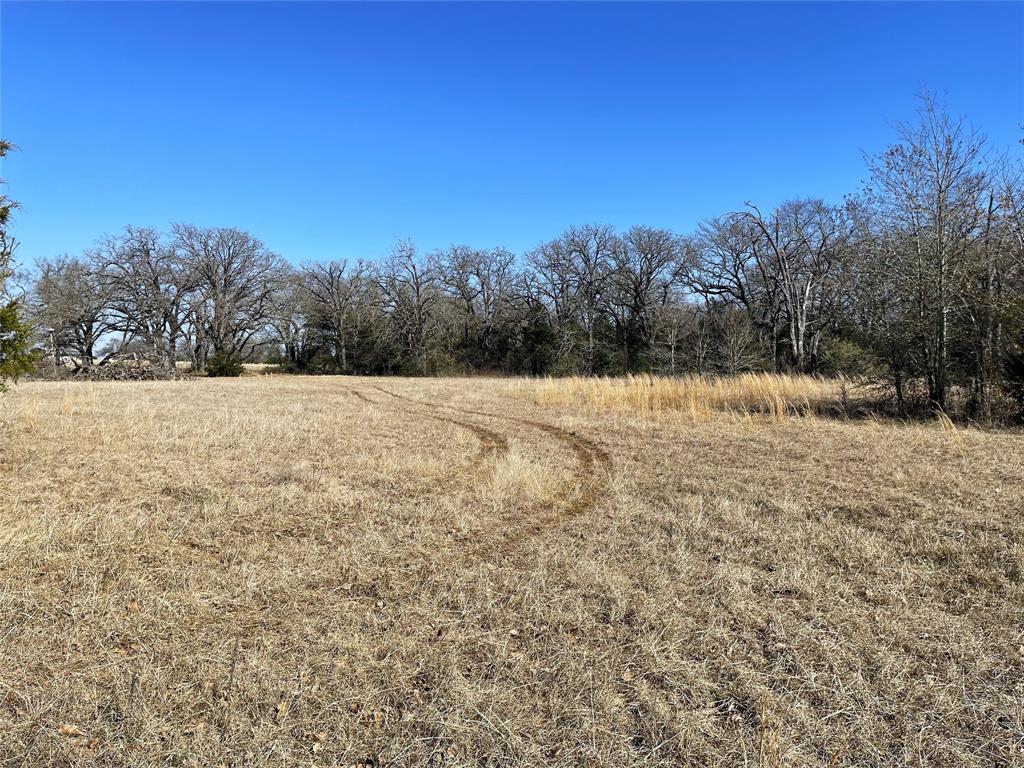 755 Fcr 601 Fairfield, TX 75840 - Photo 13 of 15