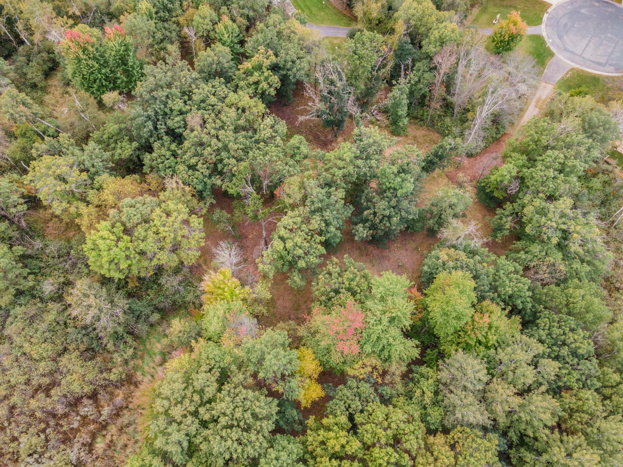 561 X Heather Ridge Court St. Paul, MN 55126 - Photo 16 of 29