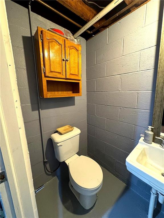 430 Pine Run Road Freedom, PA 15042 - Photo 23 of 25 lower level