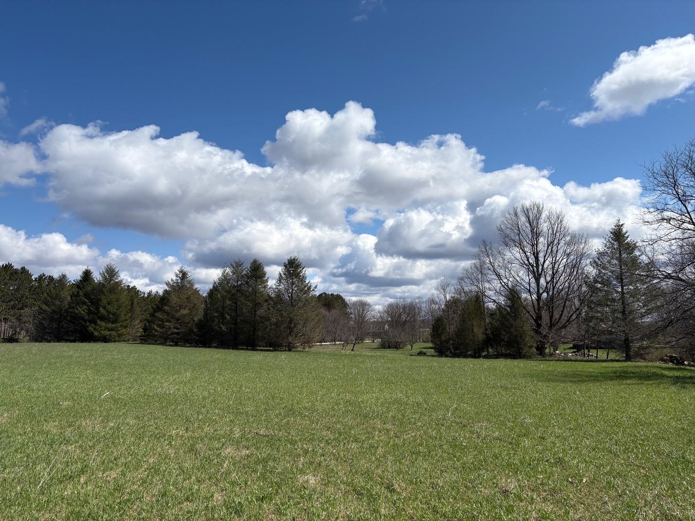 V/l Spruce Ridge Bear Lake, MI 49614 - Photo 4 of 17