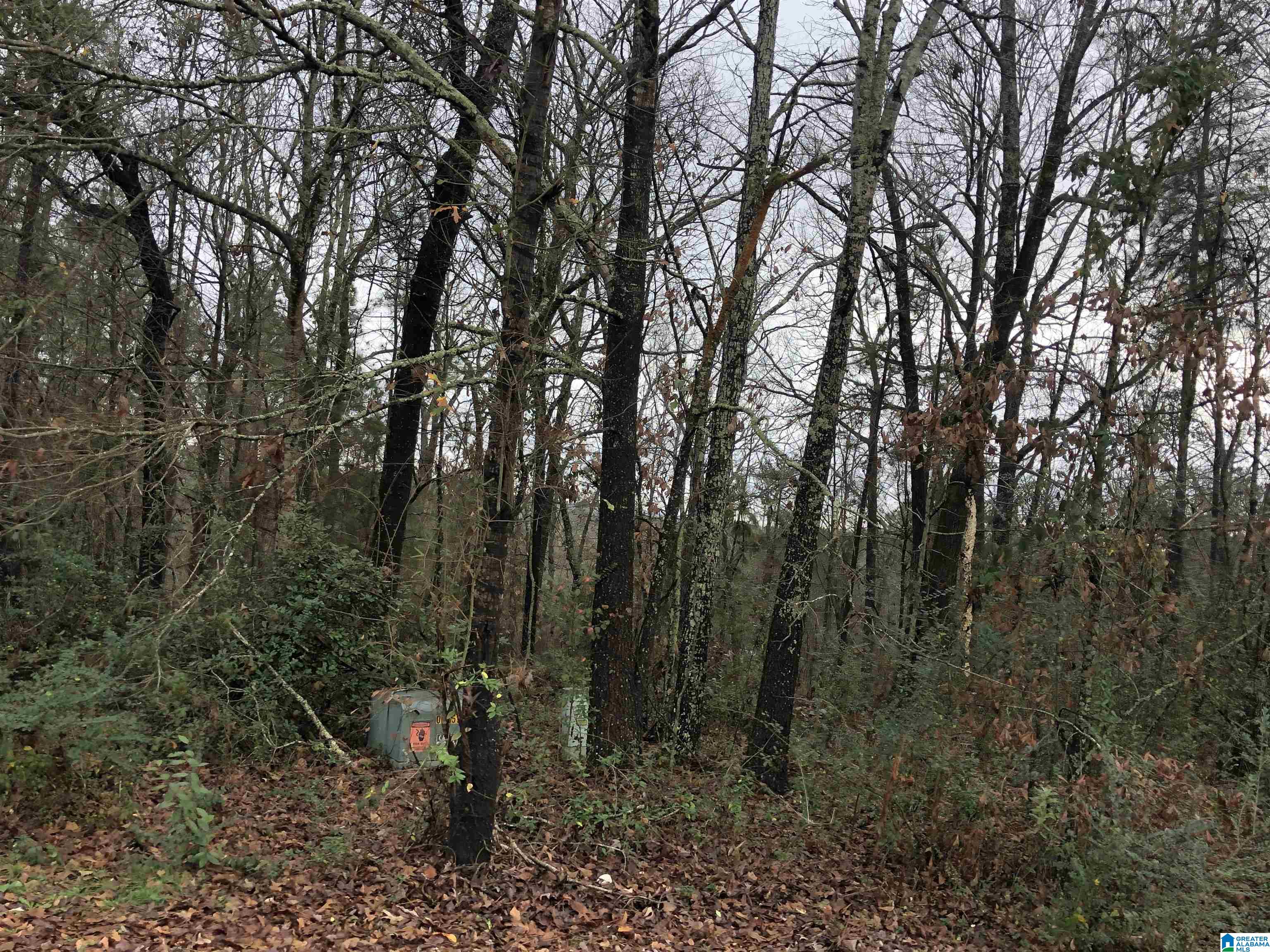 0 Autumn Ridge Trail, Unit 26 Pell City, AL 35128 - Photo 17 of 31