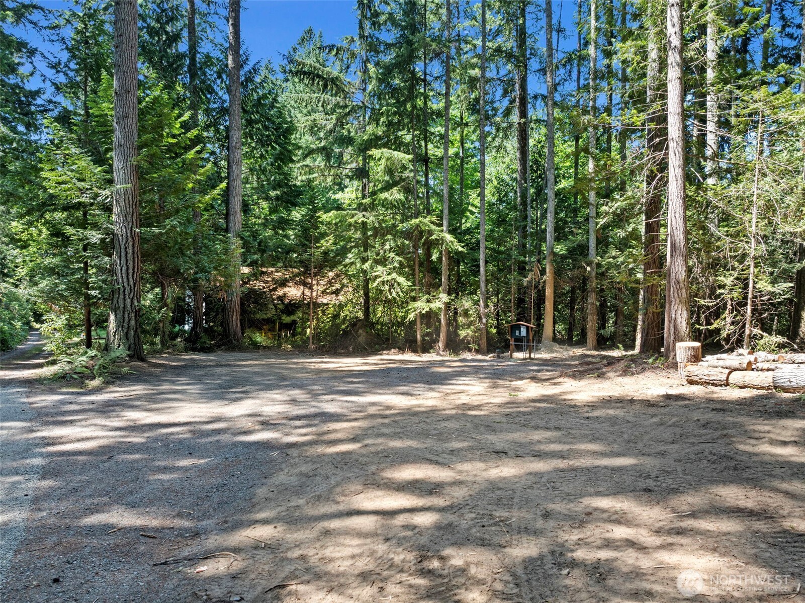 a view of road and trees