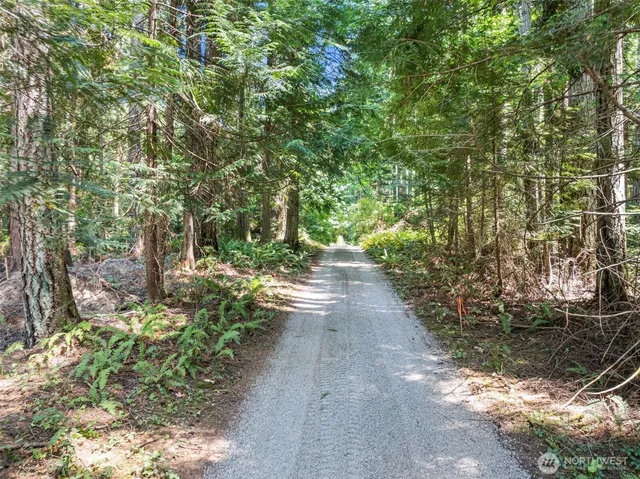 a view of outdoor space and garden