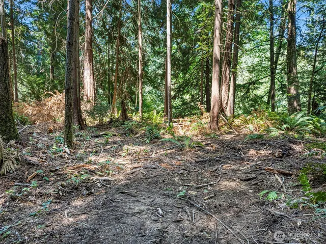 a view of a lake with sunset