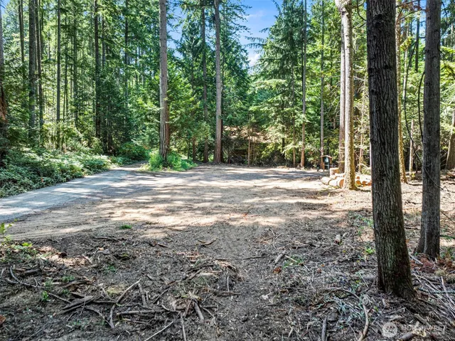 a view of a yard with trees in the background