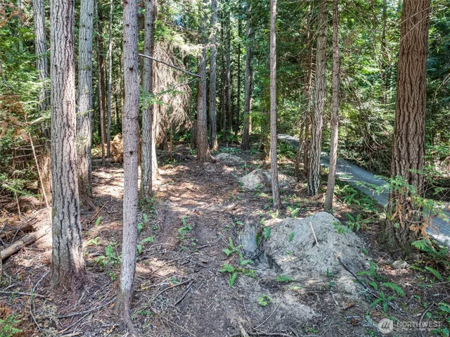 a view of a pathway both side of yard