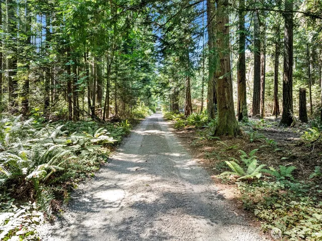 a view of a pathway of a yard